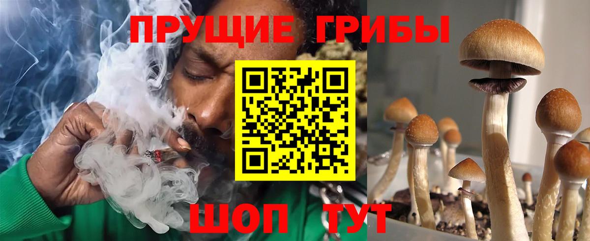 Галлюциногенные грибы прущие грибы  Псилоцибиновые грибы MAGIC MUSHROOMS  Вход с VPN  Отрадный 